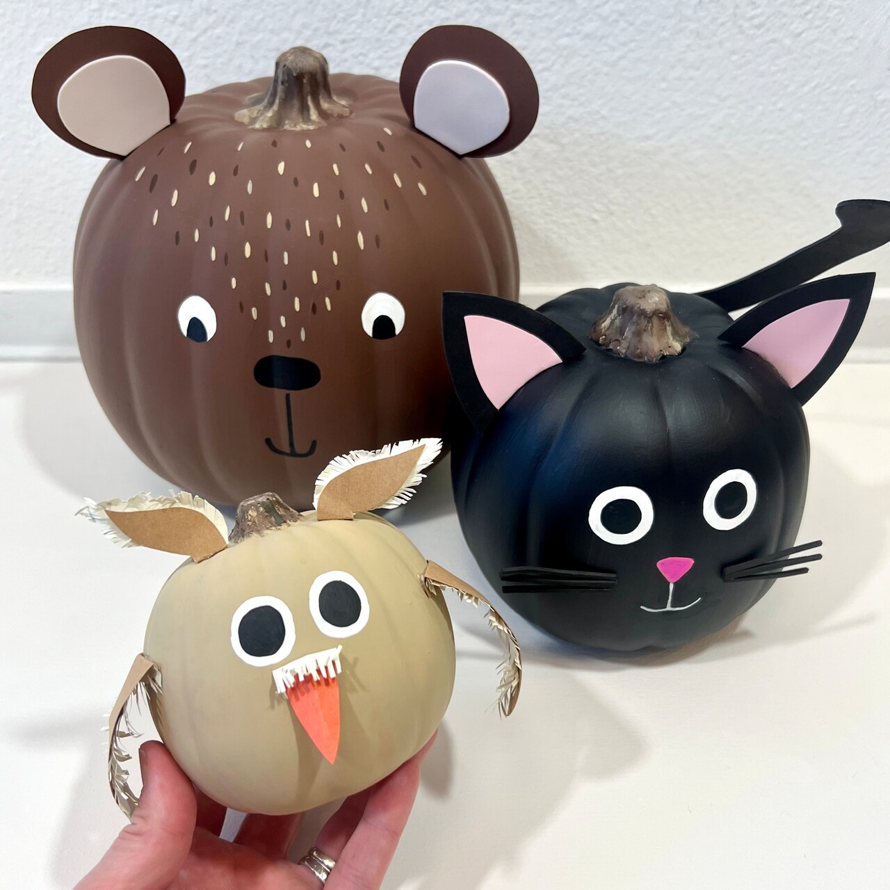 Kids Club: Animal Pumpkins